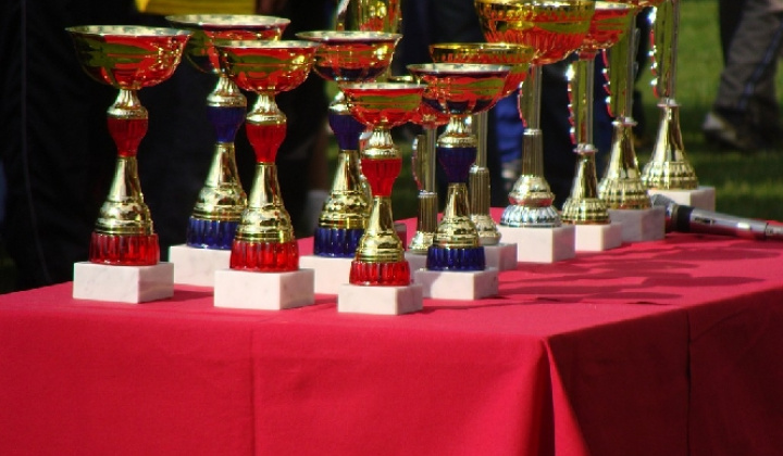 Aktivity v Klečenove z roku 2008