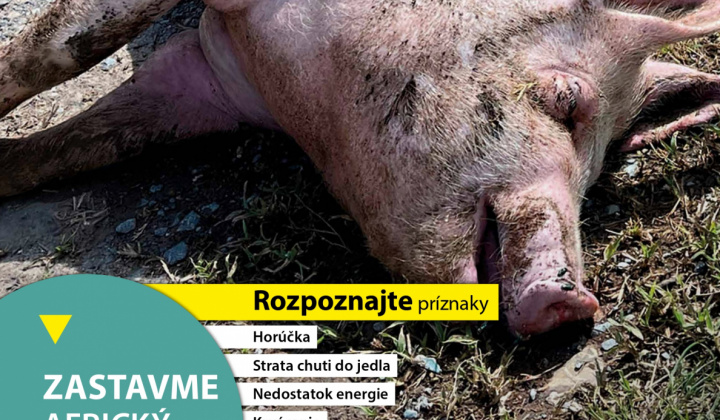 Novinky / Letáky o nákaze AMO